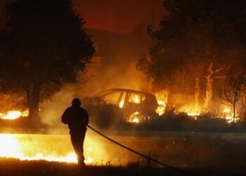 تدمير نحو 1000 هكتار من الغابات بسبب الحرائق في فرنسا