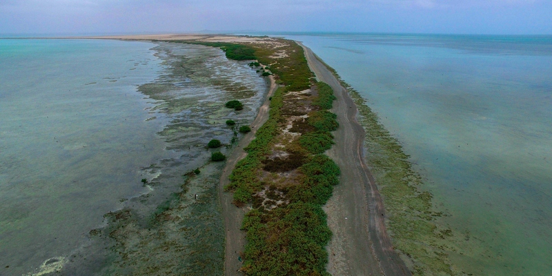 جزيرة مرصيص.. لوحة طبيعية أخاذة