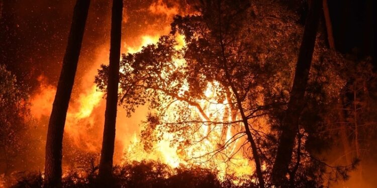 فرنسا تكافح حرائق الغابات مع استمرار موجة الحر 1 فرنسا تكافح حرائق الغابات مع استمرار موجة الحر