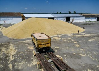 مباحثات تركية روسية أوكرانية لبحث أزمة الحبوب