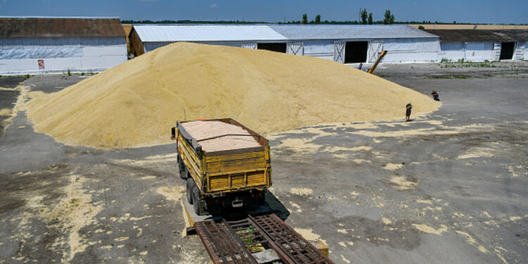 مباحثات تركية روسية أوكرانية لبحث أزمة الحبوب