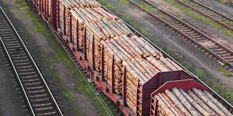 روسيا تبحث تصدير منتجات الأشغال الخشبية لدول الشرق الأوسط وآسيا