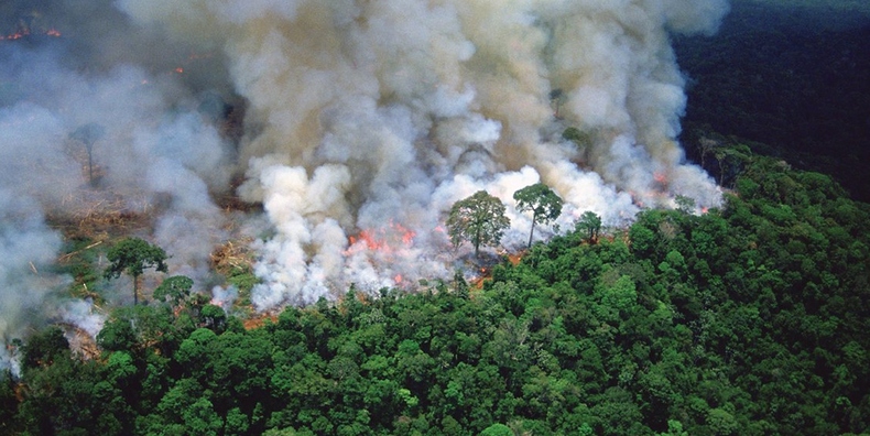 جوتيريش يدعو إلى الحفاظ على الغابات المطيرة من أجل التنمية المستدامة