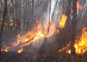 البرتغال تكافح حرائق الغابات وإسبانيا تشهد ثاني موجة حارة هذا العام