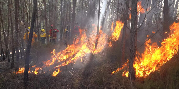 البرتغال تكافح حرائق الغابات وإسبانيا تشهد ثاني موجة حارة هذا العام
