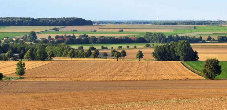 استراتيجية لتنفيذ السياسة الزراعية المشتركة للاتحاد الأوروبي