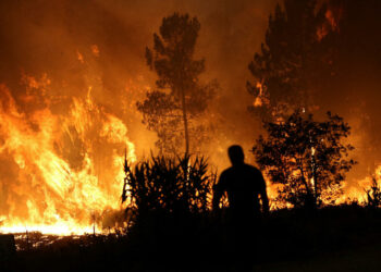 الصحة العالمية: مصرع أكثر من 1700 شخص جراء موجة الحر في إسبانيا والبرتغال