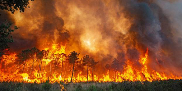 أفراد الطوارئ بسلوفينيا يكافحون حرائق الغابات