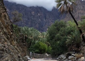 هطول أمطار على ولاية الرستاق