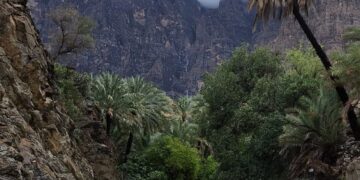 هطول أمطار على ولاية الرستاق