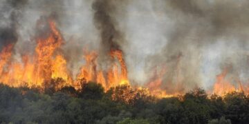 رجال إطفاء يتمكنون من السيطرة على حريق غابات بفرنسا