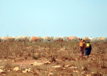 دعم افريقي بـ 5.4 مليون دولار لتعزيز الأمن الغذائي في الصومال