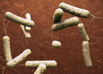 مرض الكوليرا يودي بحياة 31 طفلًا ويُصيب أكثر من 4 آلاف آخرين في أفغانستان