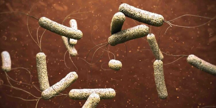 مرض الكوليرا يودي بحياة 31 طفلًا ويُصيب أكثر من 4 آلاف آخرين في أفغانستان 1 مرض الكوليرا يودي بحياة 31 طفلًا ويُصيب أكثر من 4 آلاف آخرين في أفغانستان