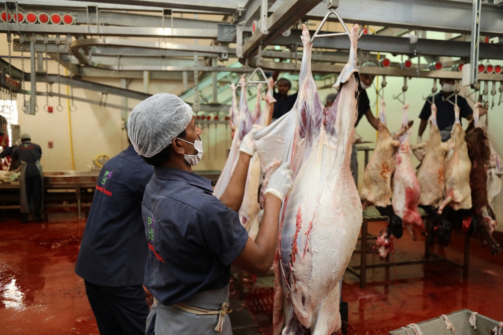 بلدية مسقط تستكمل استعداداتها لاستقبال أضاحي عيد الأضحى المبارك