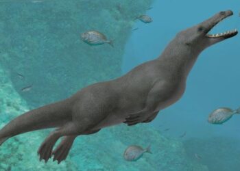 علماء صينيون: أقدم الفقاريات مخلوقات بعمر 518 مليون سنة