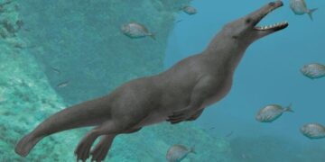 علماء صينيون: أقدم الفقاريات مخلوقات بعمر 518 مليون سنة