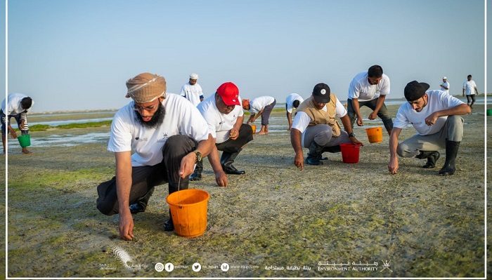 Over 1 million mangrove saplings planted in Al Wusta Governorate