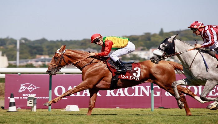 Royal Cavalry’s Soko wins 1st place in Doha Cup