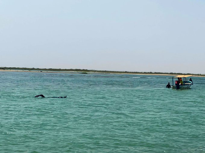 Three of family drown in Al Sawadi beach
