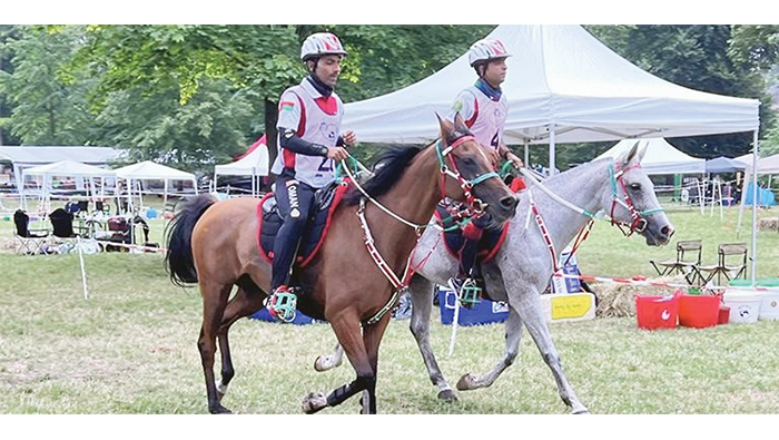 Royal Cavalry wins first and second places in Polish Klesko Endurance Race