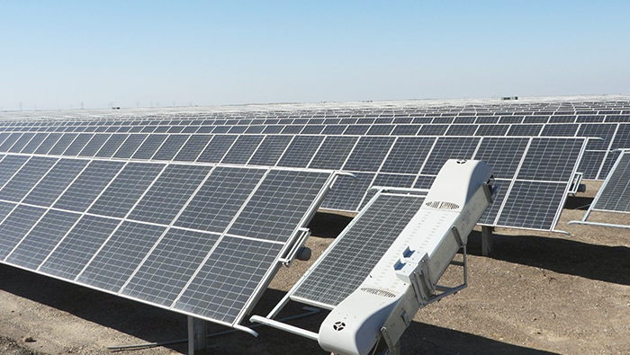 Daily output of electricity from renewable energy touches 650MW