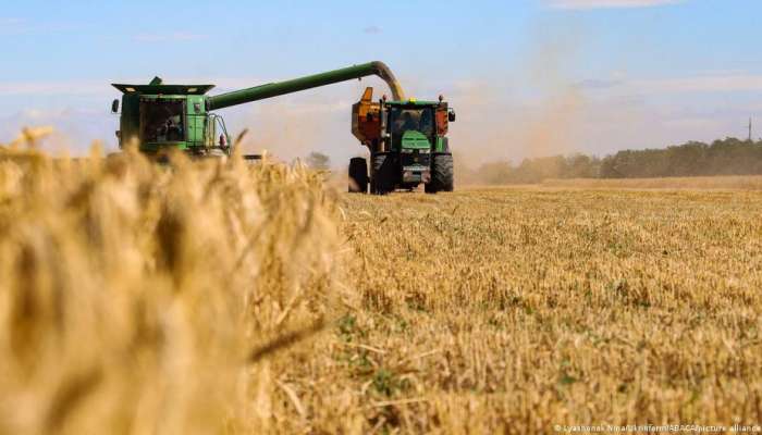 Ukraine’s grain shipments still facing obstacles