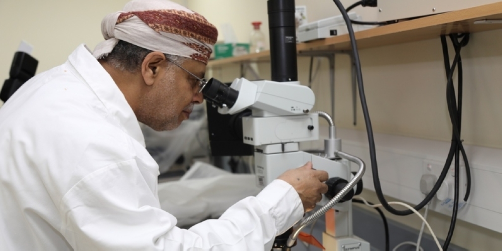 التعليم العالي والبحث العلمي والابتكار تعلن عن فتح باب التقدُّم للجائزة الوطنية للبحث العلمي