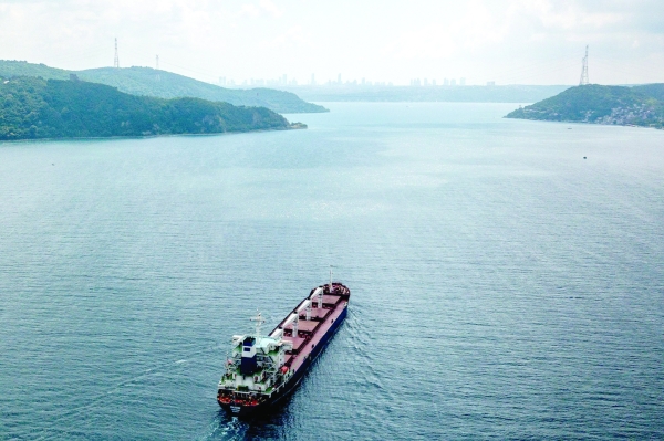 First Ukrainian grain shipment sails through Istanbul