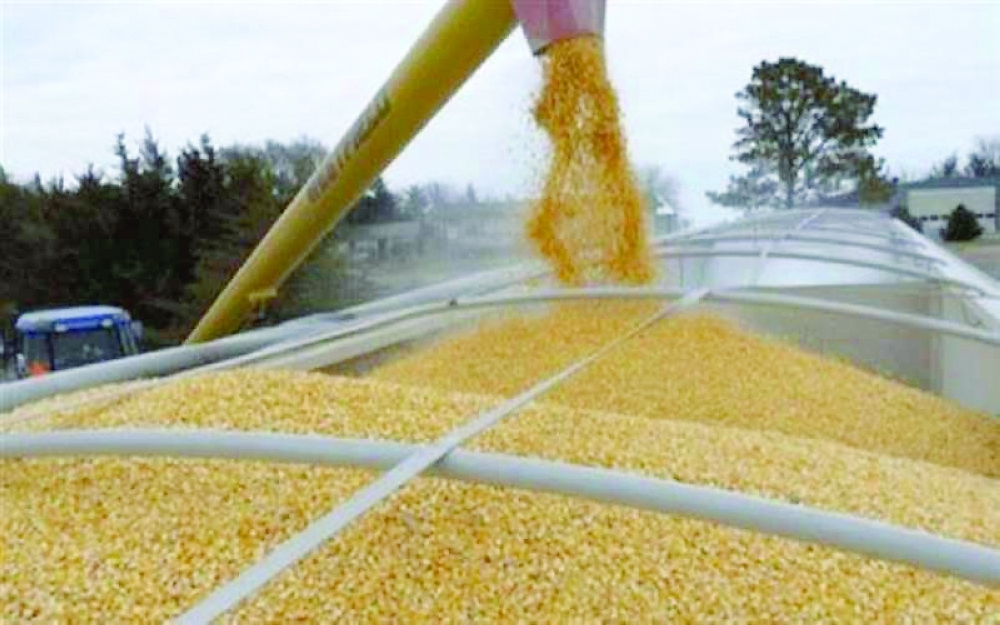 خلال 10 أيام
من المتوقع وصول أول شحنة حبوب أوكرانية لبريطانيا منذ بداية الحرب