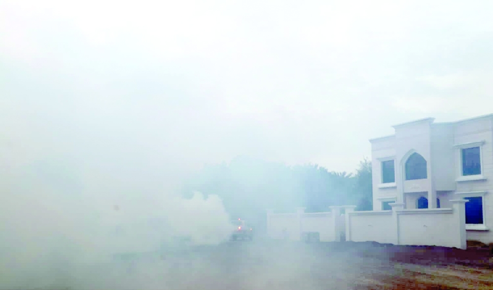 رصد بؤر لنواقل الأمراض بصحم.. وحملة موسعة لمكافحتها