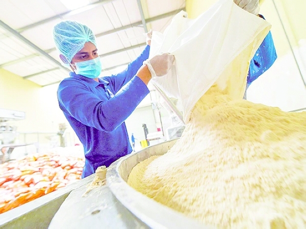 World food prices drop again after Ukraine grain pact: UN