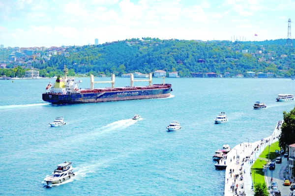 More Ukraine grain ships set sail as new shelling hits nuclear plant 1 More Ukraine grain ships set sail as new shelling hits nuclear plant