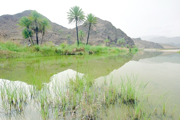 (ANCHOR) Wadi Sabt a popular haunt among tourists