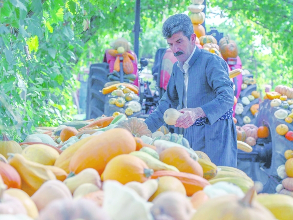 Kurdish Iraqi farmer sprouts online advice, green awareness