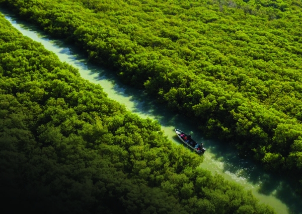 Mahoot's charming little island is becoming an ideal local getaway