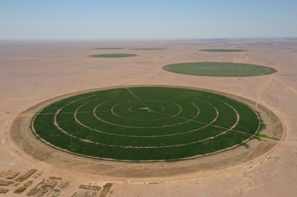 Najd opens up to small and large-scale agricultural investment