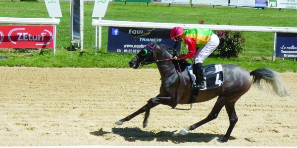 Royal Cavalry’s horse wins Al Wathba Cup in France