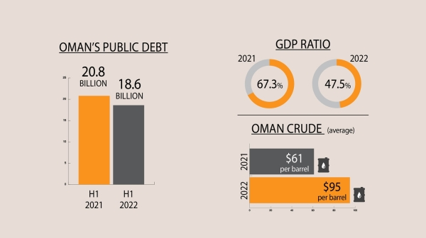 Budget surplus helps cut public debt