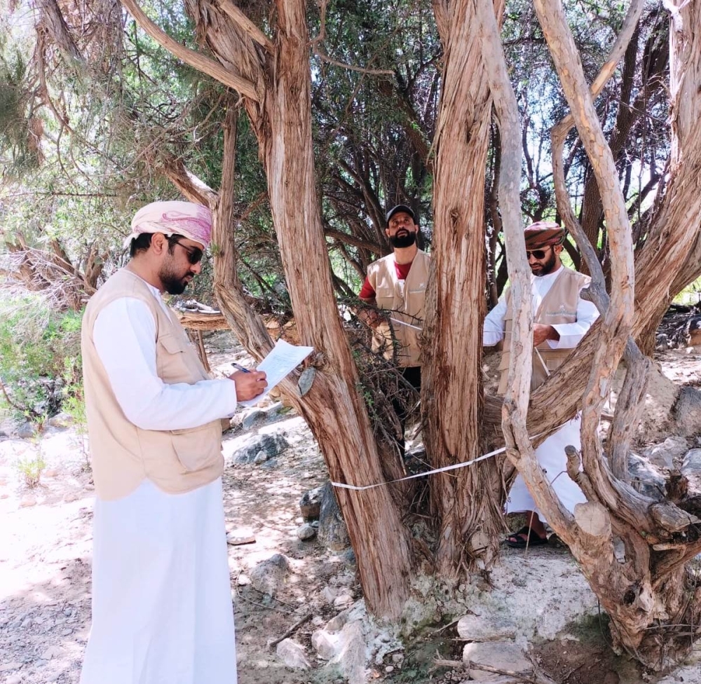 بدء المرحلة الثانية لحصر وتوثيق الأشجار المعمّرة بالداخلية 1 بدء المرحلة الثانية لحصر وتوثيق الأشجار المعمّرة بالداخلية