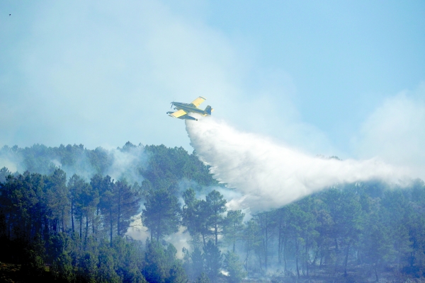 Drought in England, fires rage in France as heatwave persists 1 Drought in England, fires rage in France as heatwave persists