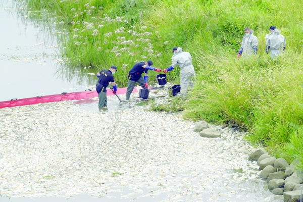 'Dead fish everywhere' in German-Polish river