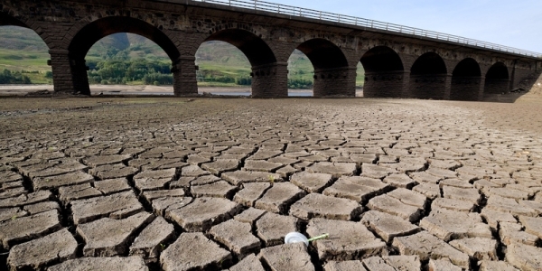 Drought in England could carry on into 2023: experts warn