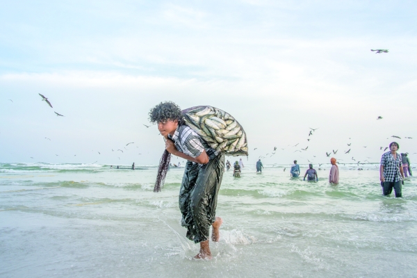 RO 36m worth fish produced in Dhofar