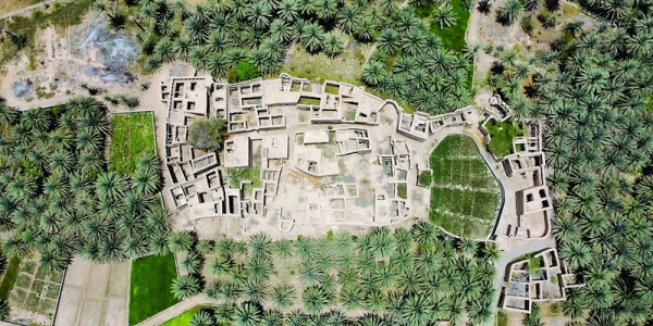 Tourism sector contributes 2.4% to GDP