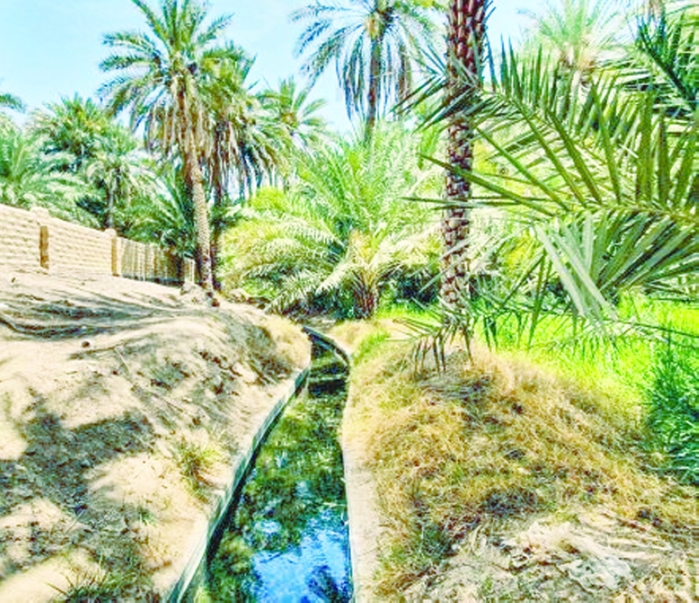 صيانة 140 فلجا متضمنة المتأثرة بإعصار شاهين