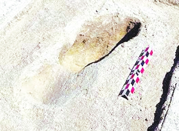 Ice-age footprints shed light on North America's early humans