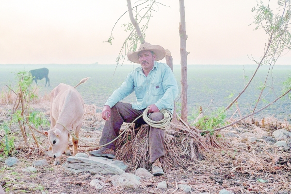 'We need rain': Mexican farmers ravaged by northern drought
