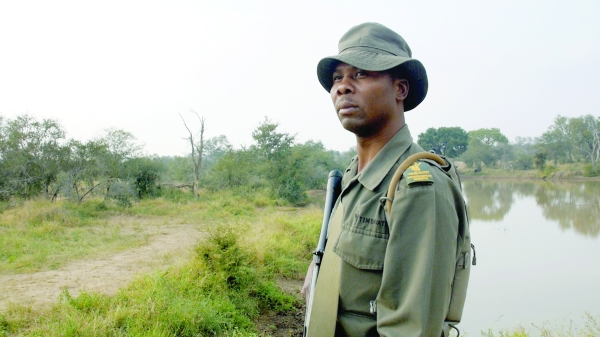 Killing of ranger protecting rhinos raises fears for conservation efforts