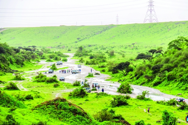 Let environment not pay price for Khareef Salalah